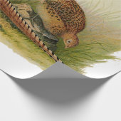 Papier Cadeau Une paire de faisans étranglés d'anneau dans un (Coin)