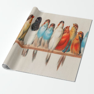 Papier Cadeau Une Perche D'Oiseaux