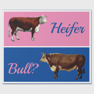 Papier Cadeau Une révélation sur le genre de Heifer ou Bull av