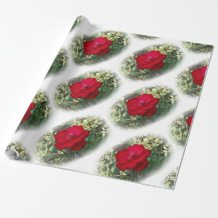Papier Cadeau Une rose solitaire