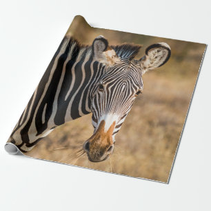 PAPIER CADEAU UNE ZEBRA CURIEUSE DANS LA RÉSERVE NATIONALE DE SA