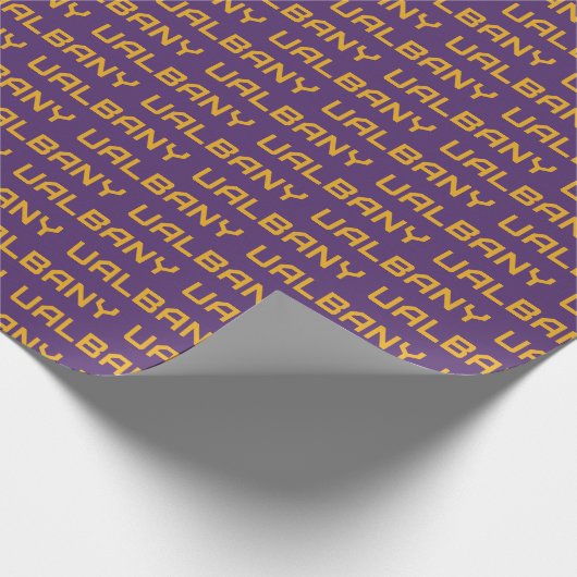 Papier Cadeau Université de Albany Wordmark (Coin)