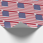 PAPIER CADEAU USA (Coin)