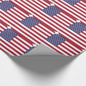 PAPIER CADEAU USA (Coin)