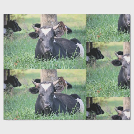 Papier Cadeau Vache (Plat)
