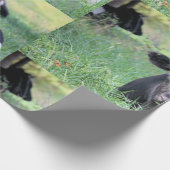 Papier Cadeau Vache (Coin)