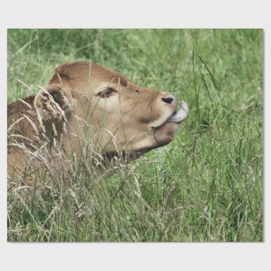 PAPIER CADEAU VACHE (Plat)