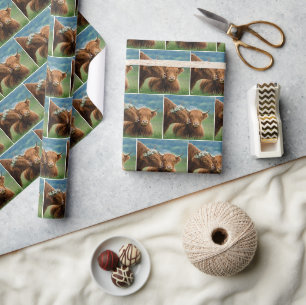 Papier Cadeau Vache des Highlands montrant de l'affection