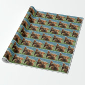 Papier Cadeau Vache des Highlands montrant de l'affection (Déroulé)