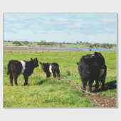 Papier Cadeau Vache Galloway, Enveloppe Cadeau Et Mère Et Bébé (Plat)