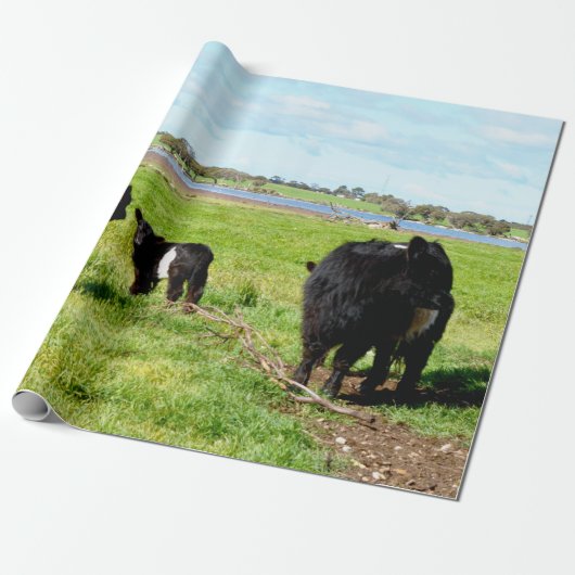 Papier Cadeau Vache Galloway, Enveloppe Cadeau Et Mère Et Bébé (Déroulé)