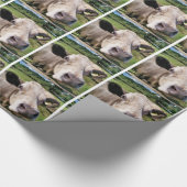 PAPIER CADEAU VACHES (Coin)