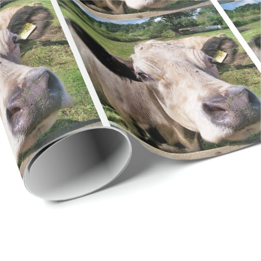 PAPIER CADEAU VACHES (Coin rond)