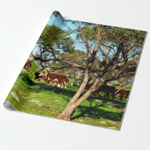 Papier Cadeau Vaches Brown Et Blanches Sur La Gamme,