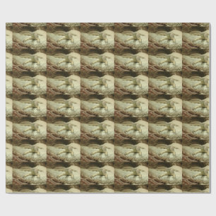 Papier Cadeau Varan des sables