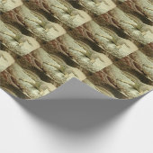 Papier Cadeau Varan des sables (Coin)