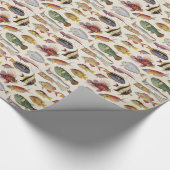 Papier Cadeau Variétés de poissons (Coin)