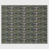 Papier Cadeau Vautour Griffon (Plat)