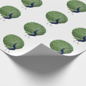 Papier Cadeau Ventilateur Open Peacock (Coin)