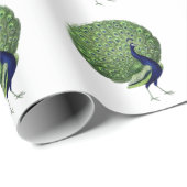 Papier Cadeau Ventilateur Open Peacock (Coin rond)