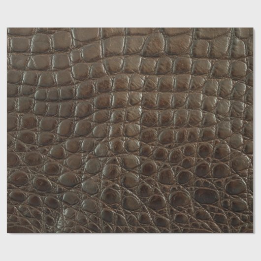 Papier Cadeau Véritable alligator marron, gros plan pour montrer (Plat)