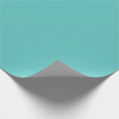 Papier Cadeau Vert 1 (Coin)