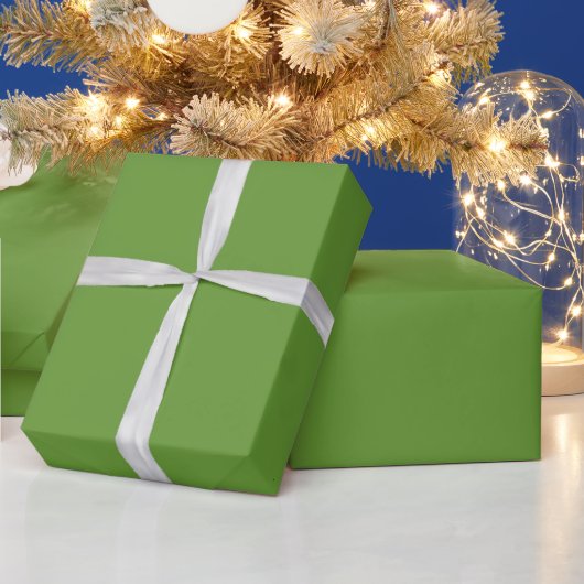 Papier Cadeau Vert Avocat (Vacances)