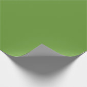 Papier Cadeau Vert Avocat (Coin)