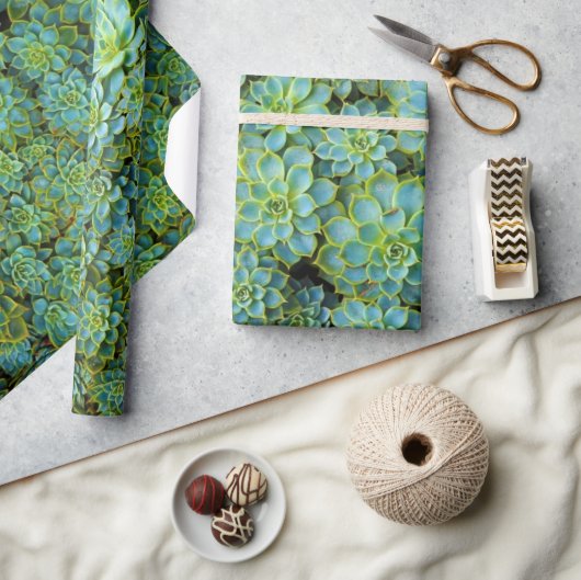 Papier Cadeau Vert brillant Succulents sains Echeveria Plantes (Artisanat)