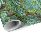 Papier Cadeau Vert brillant Succulents sains Echeveria Plantes (Coin rond)