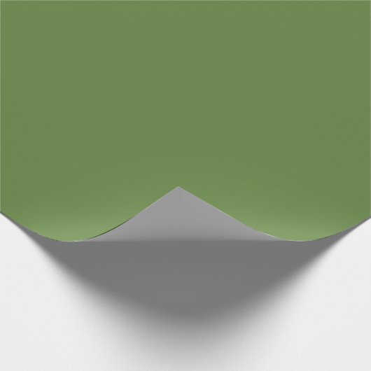 Papier Cadeau Vert chaux uni couleur solide (Coin)