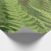 Papier Cadeau vert des fougères (Coin)