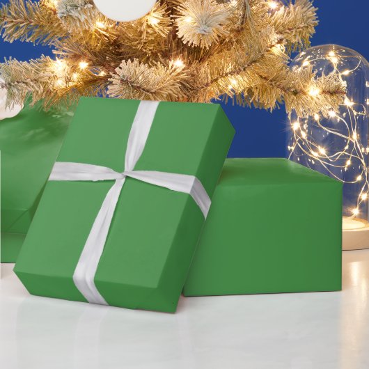 Papier Cadeau Vert élégant (Vacances)