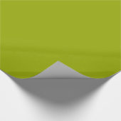 Papier Cadeau Vert Limeade Uni (Coin)