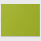 Papier Cadeau Vert Limeade Uni (Plat)