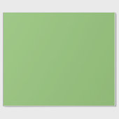 Papier Cadeau Vert pastel (Plat)