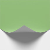 Papier Cadeau Vert pastel (Coin)