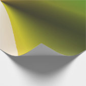 Papier Cadeau vert rose blanc texture abstraite (Coin)
