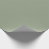 Papier Cadeau Vert sauge (Coin)