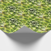 Papier Cadeau Vert Succulent Gros Plan Cactus (Coin)