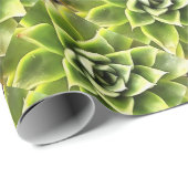 Papier Cadeau Vert Succulent Gros Plan Cactus (Coin rond)