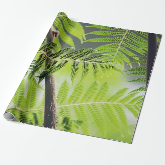Papier Cadeau  Vert tropical (Déroulé)