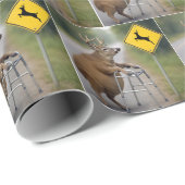 Papier Cadeau Vieux cerf penché sur un marcheur (Coin rond)