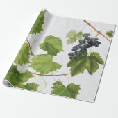 Papier Cadeau Vignoble de raisins Ile grecque méditerranéenne (Déroulé)