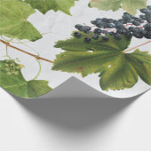 Papier Cadeau Vignoble de raisins Ile grecque méditerranéenne (Coin)
