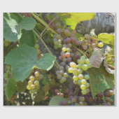 Papier Cadeau Vignobles de la Californie (Plat)