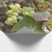 Papier Cadeau Vignobles de la Californie (Coin)