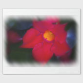 Papier Cadeau Vin de fleurs rouges en blanc grand (Plat)