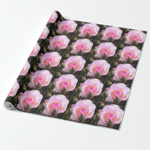 Papier Cadeau Vingtième anniversaire de Mariage Parfait Rose ang