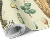 Papier Cadeau Vintage Bird Eggs French Fish Egg (Coin rond)